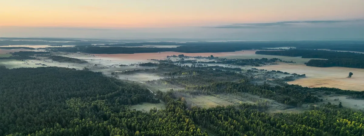 Bos en velden van bovenaf bij zonsopkomst